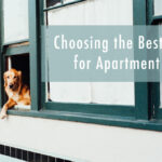 Choosing the Best Pet for Apartment Life