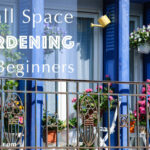 Small Space Gardening for Beginners