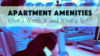 Apartment Amenities