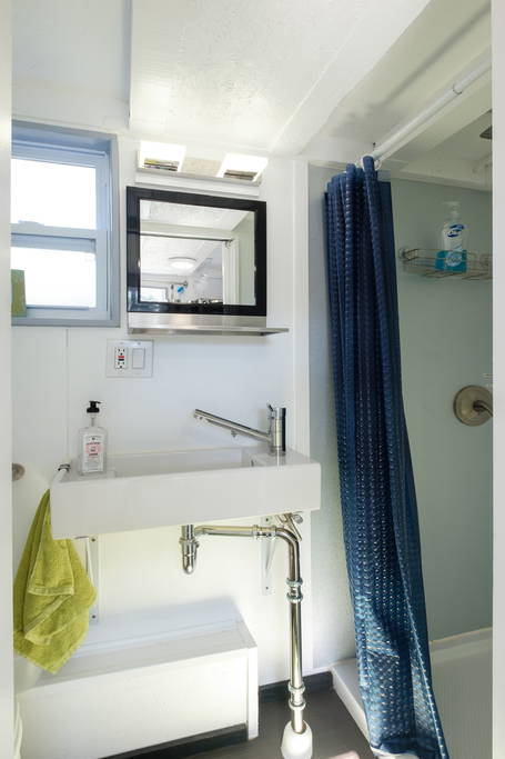 Bathroom Sink and Shower - Nashville Tiny House