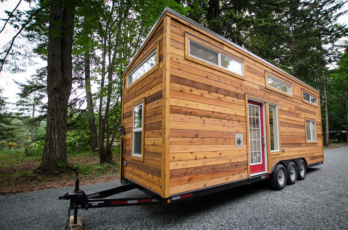 Whisky Jack by Rewild Homes