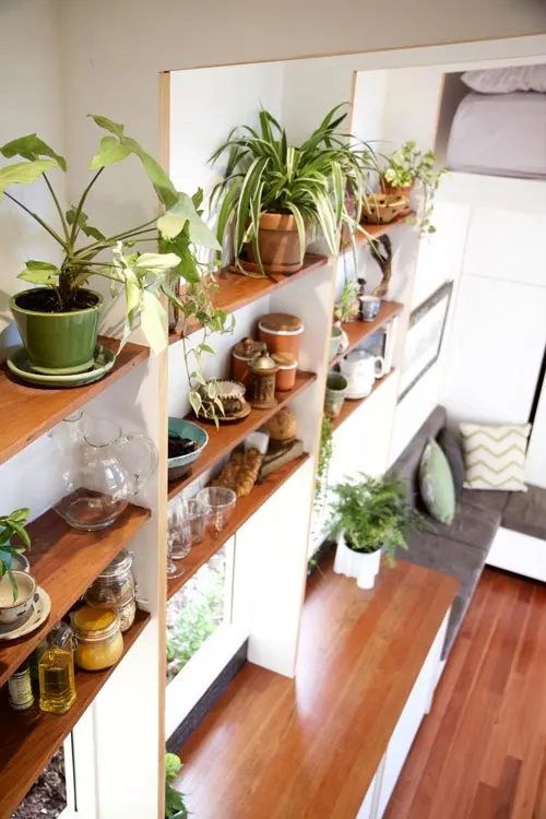 Sub-Tropical Plants - Portal by The Tiny House Company