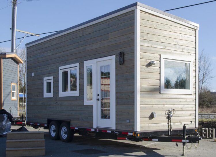 Fox Sparrow by Rewild Homes