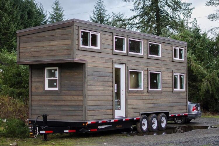 Albatross by Rewild Homes
