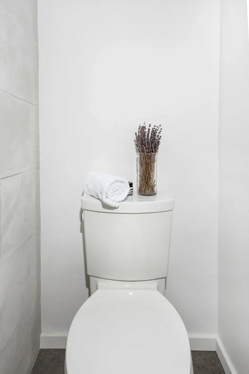 Flush Toilet - Calico by Katz Box