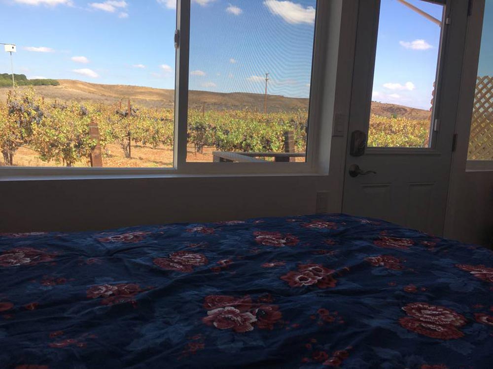 View of Vineyard - Temecula Wine Country Tiny Container Home