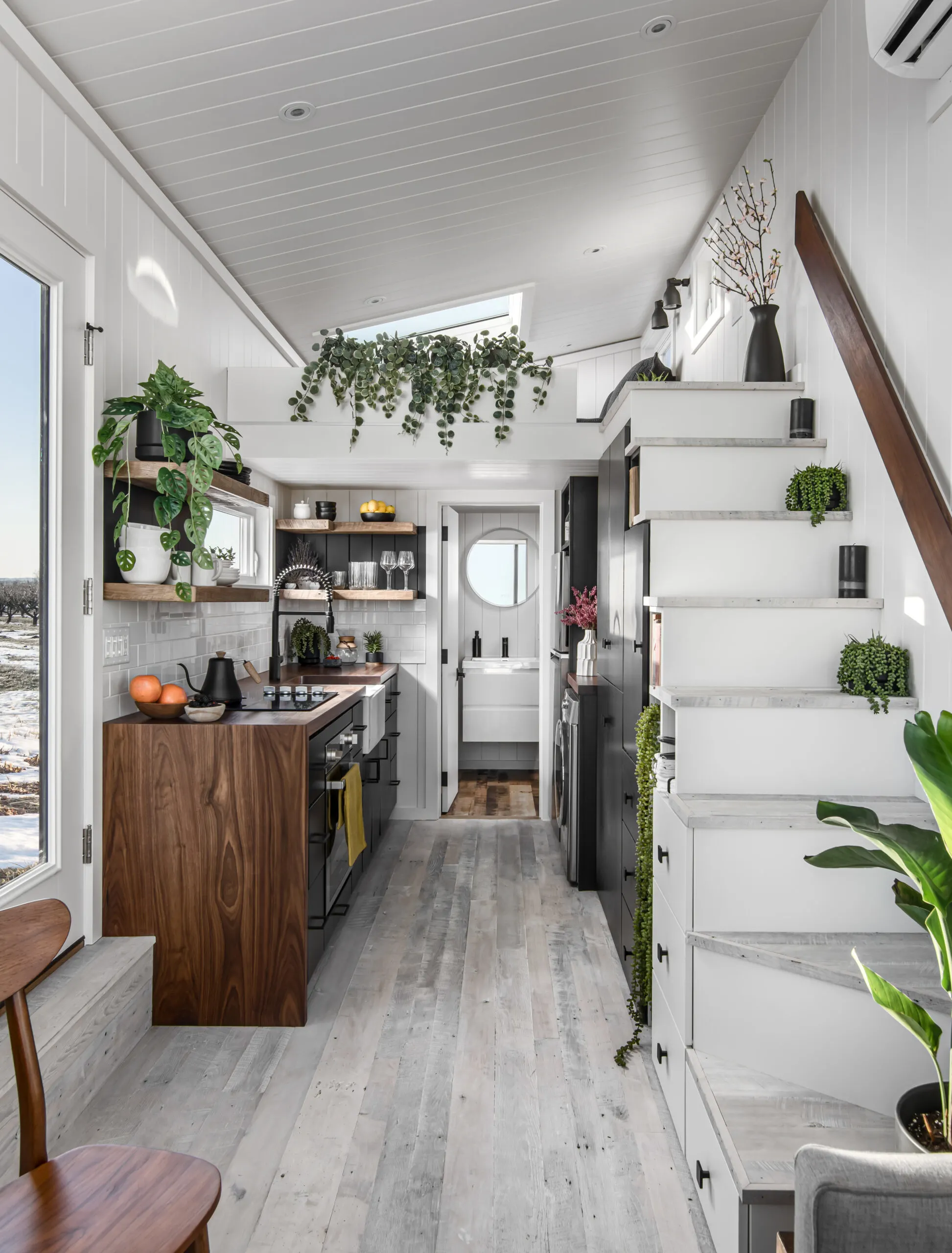 Living Room / Kitchen - Luna by New Frontier Design