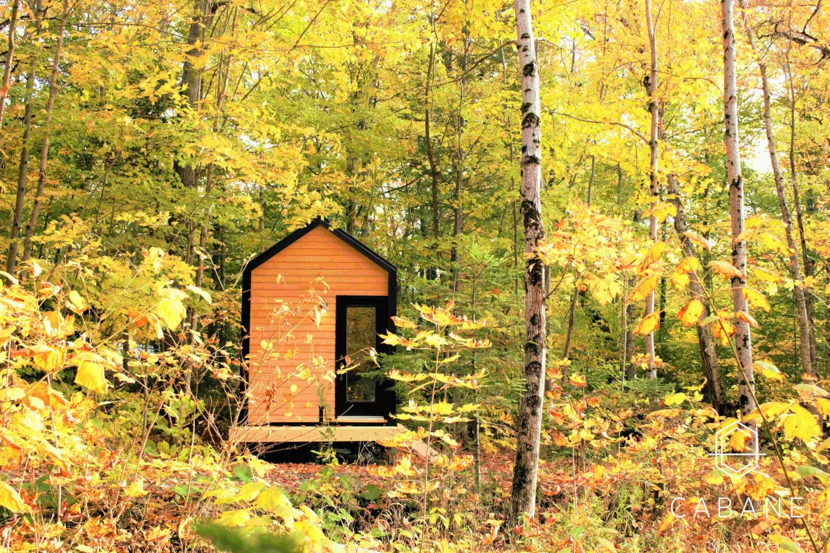 20' Tiny House - Cabane Tiny Cabin