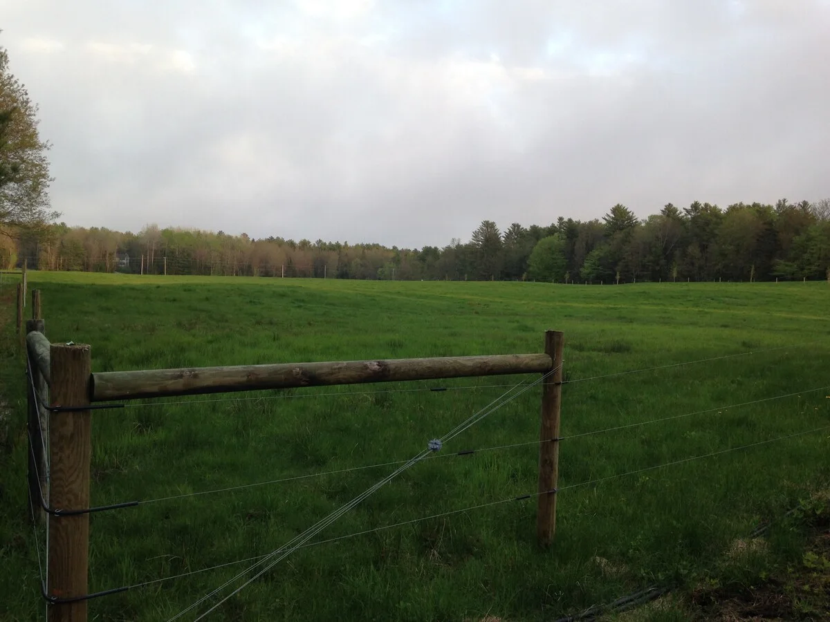 Crow's Nest Tiny House at Old Crow Ranch - Grazing Fields