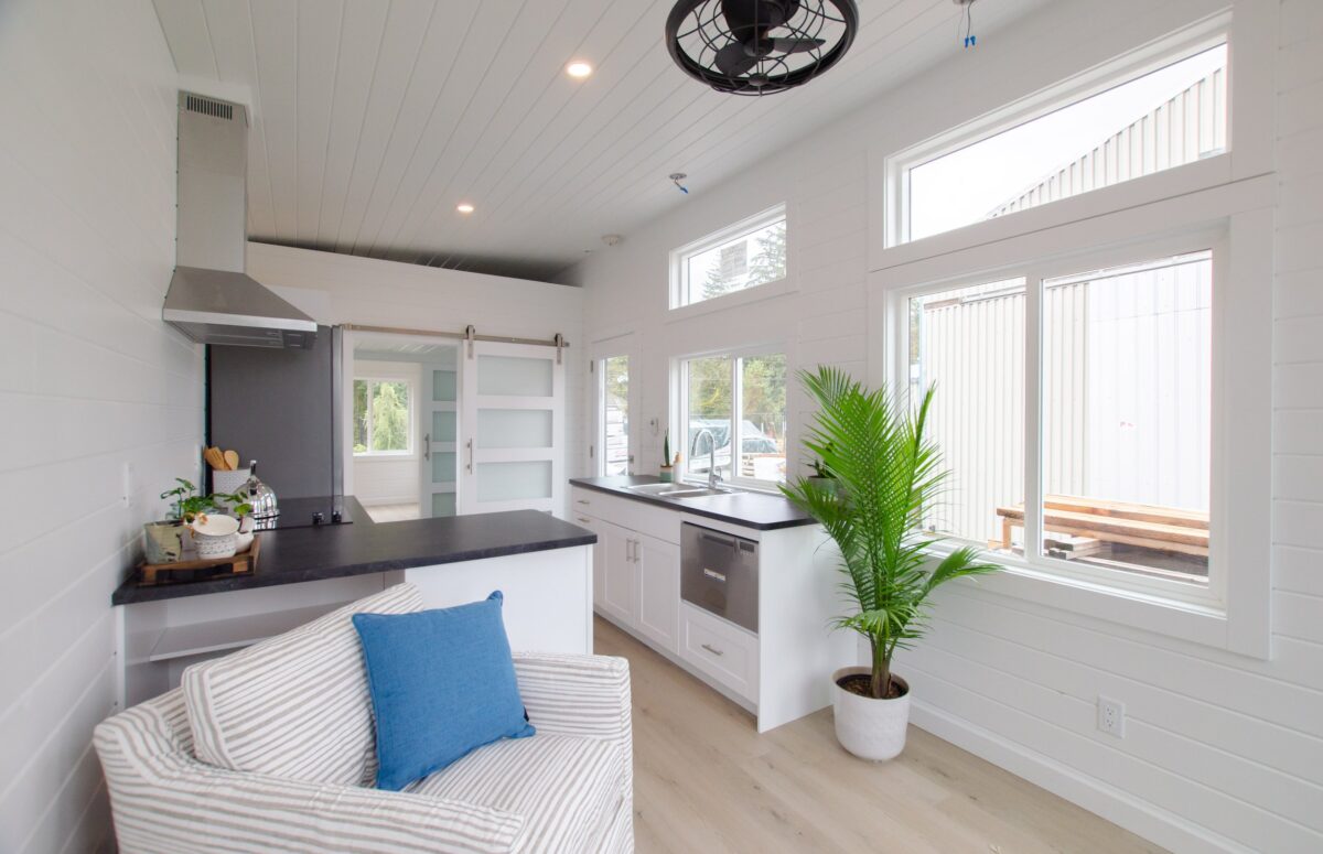 Mountain Chickadee by Rewild Homes