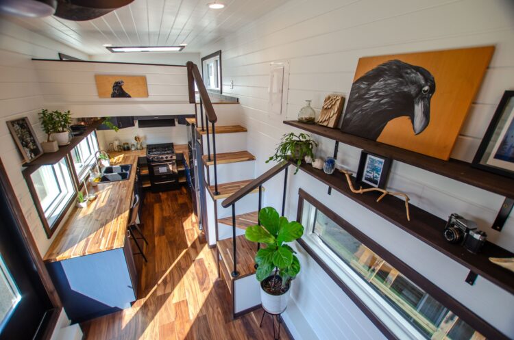 Raven by Rewild Homes
