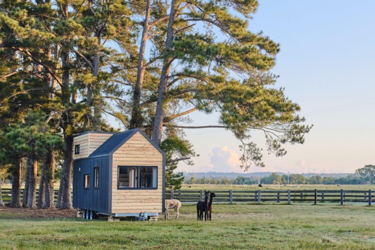 Sojourner v2 by Häuslein Tiny House Co