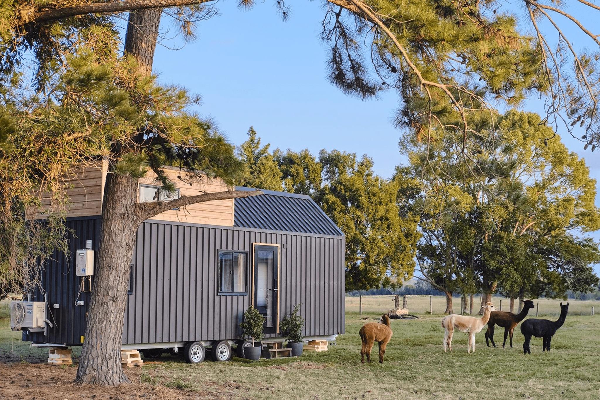 Tiny House in Field with Animals - Sojourner v2 by Häuslein Tiny House Co