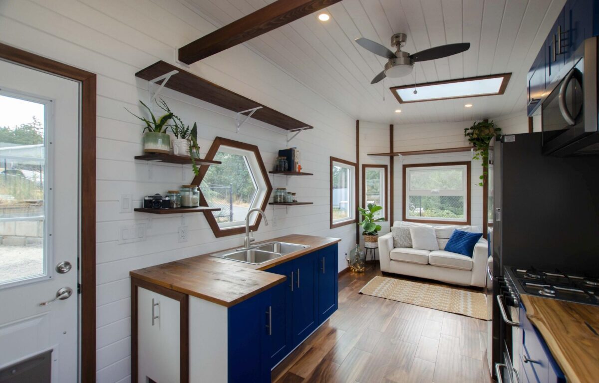 Northern Flicker by Rewild Homes