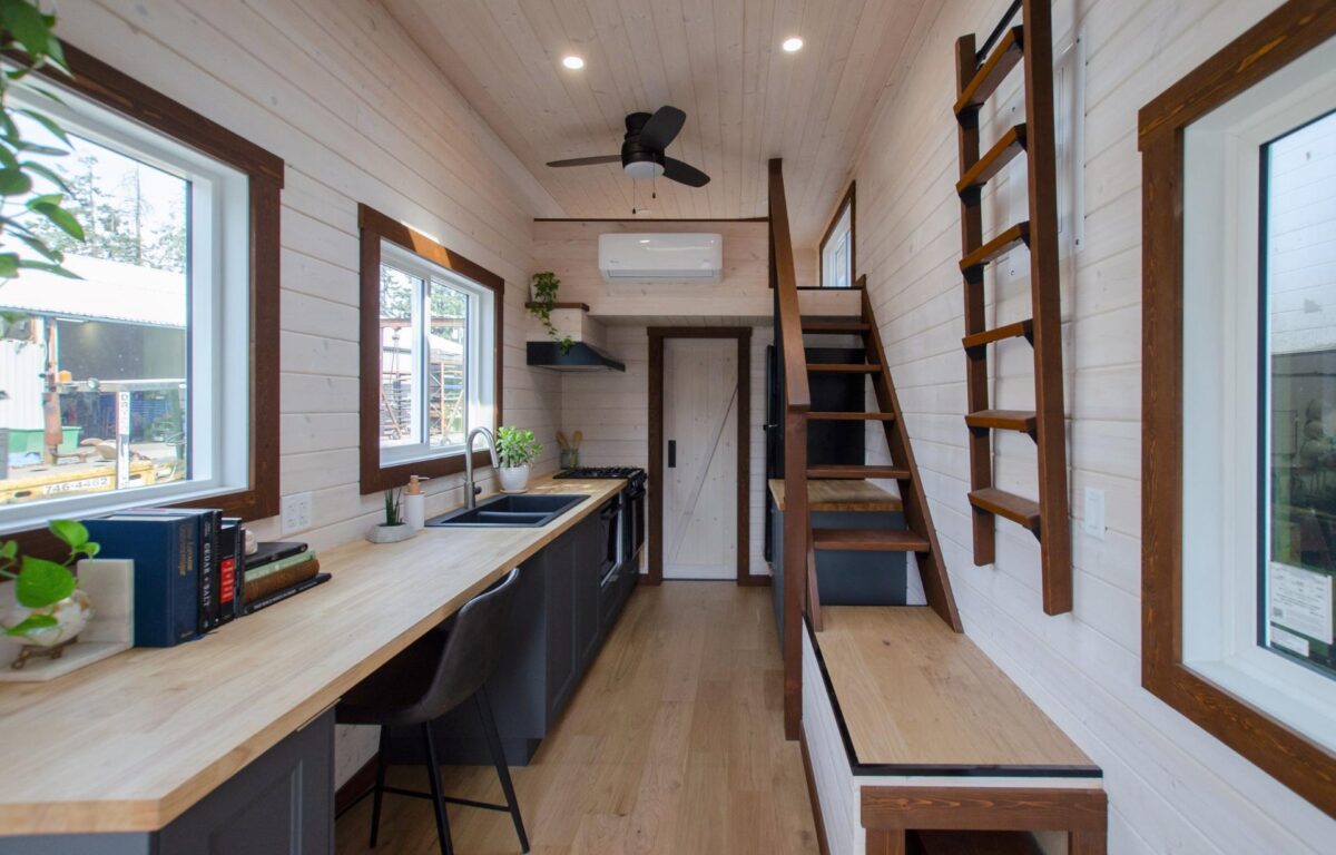 Pacific Wren by Rewild Homes