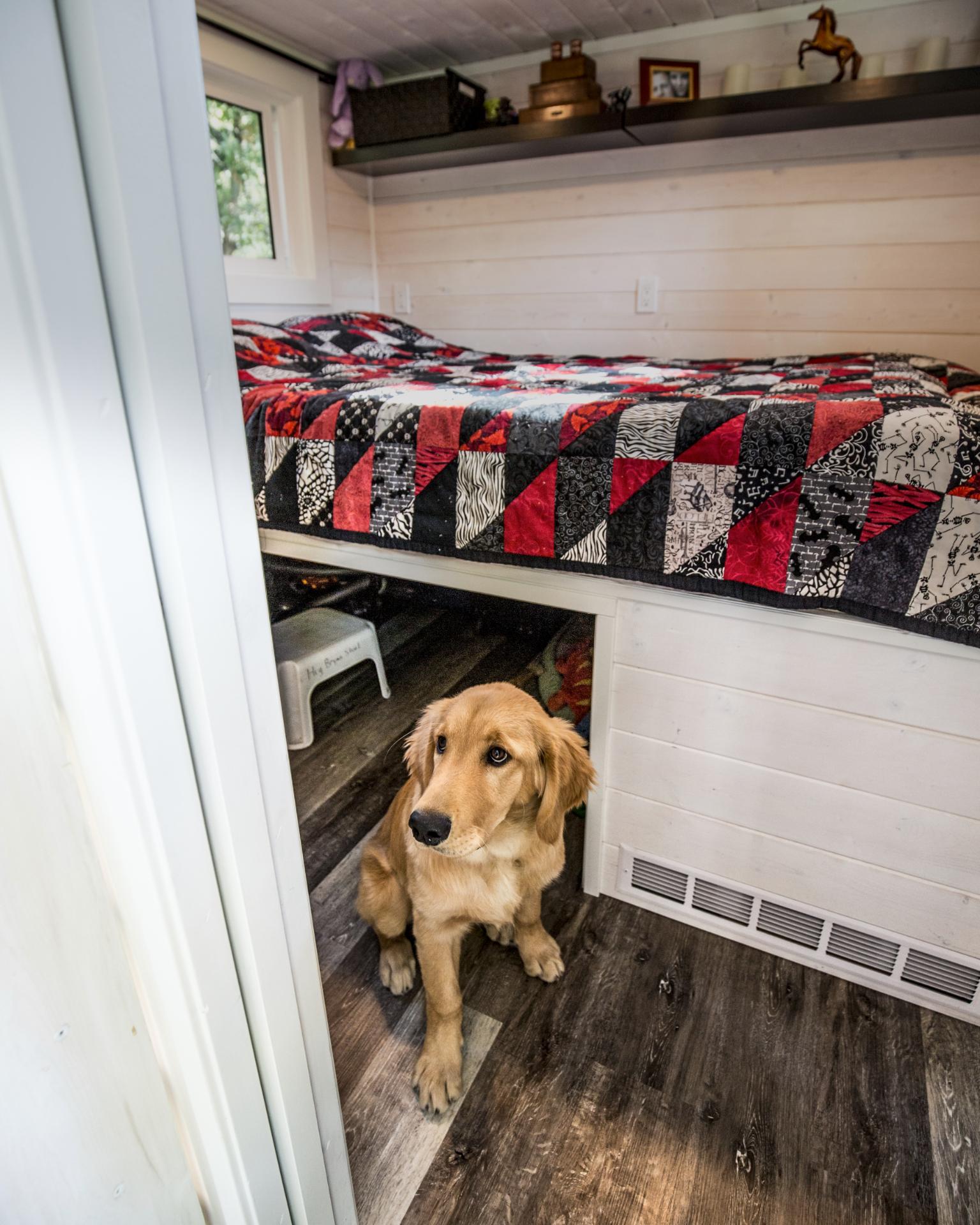 Doggy Space under Bed - Simply Heaven by Sunshine Tiny Homes