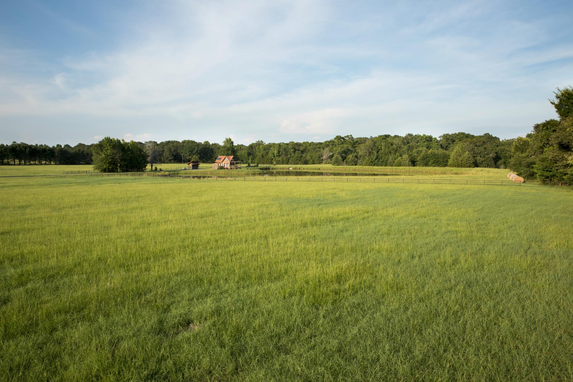 Hay Fields with Tiny House in the Distance - The Cabin at Bell & Brook Ranch