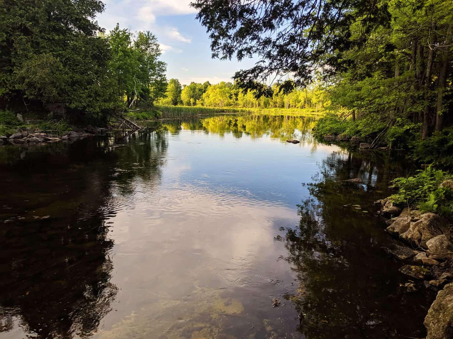 Lake Near Tiny House - Ember by Cabinscape