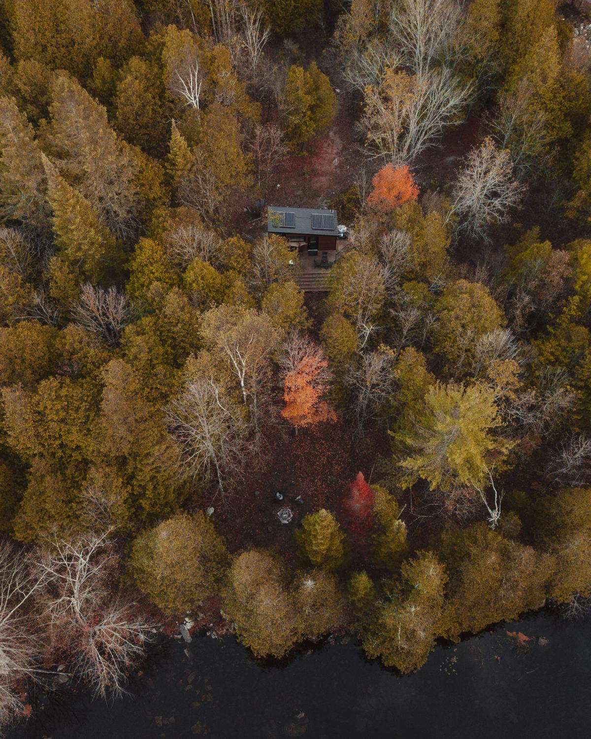 Aerial View of Tiny House in the Trees - Ember by Cabinscape