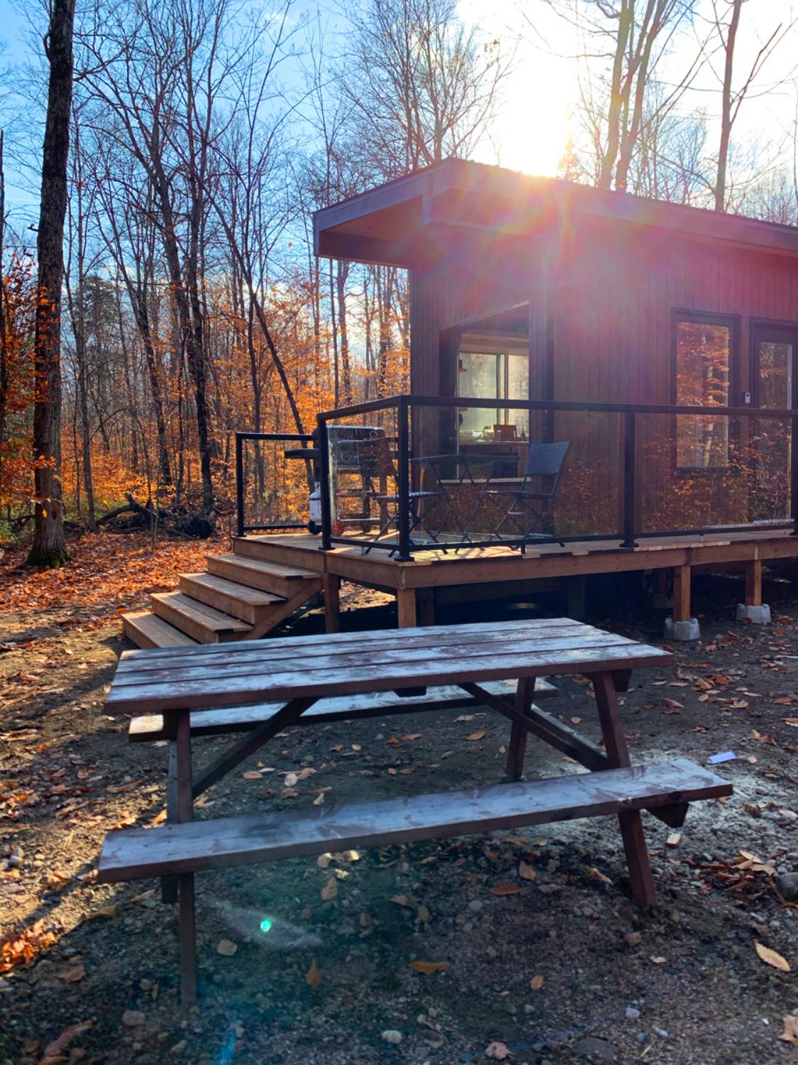 Picnic Table Near Tiny House - Sage by Cabinscape