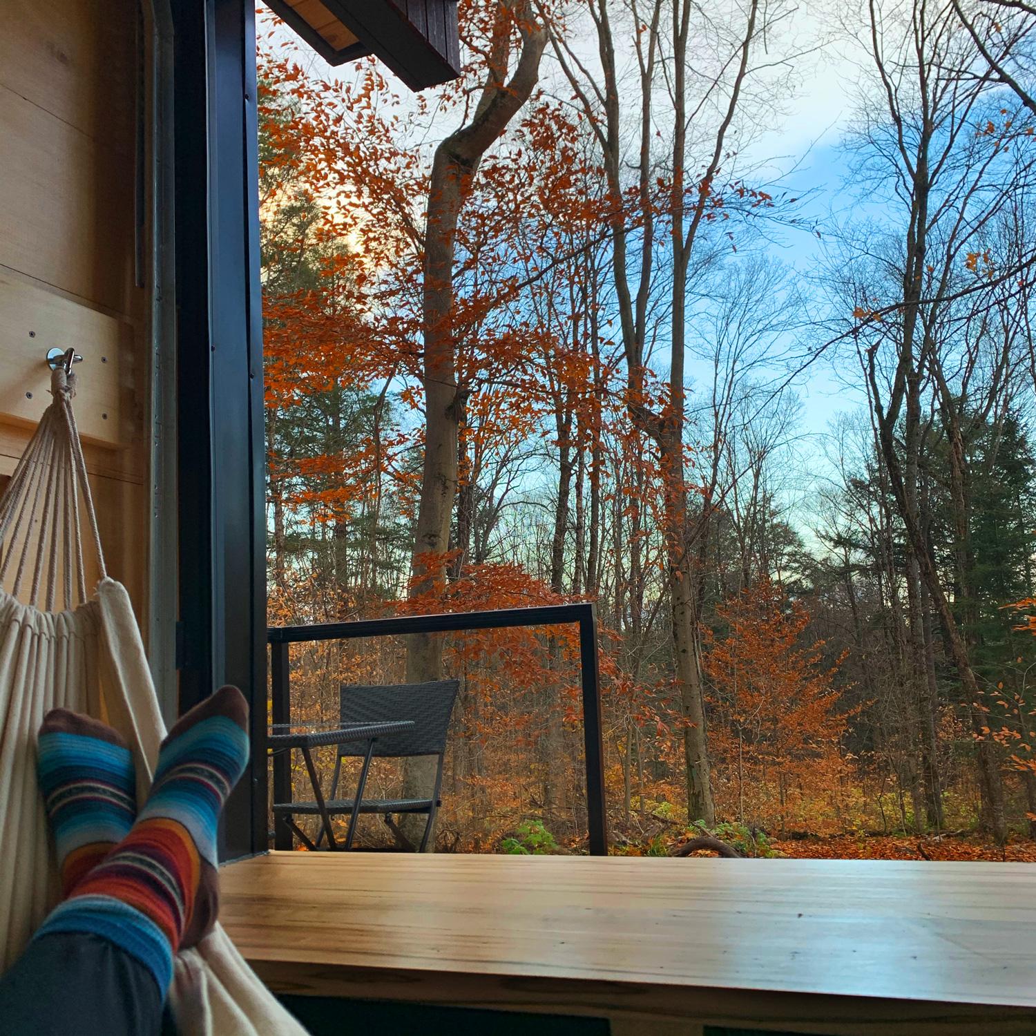 Person Viewing Autumn Colors Through Window - Sage by Cabinscape